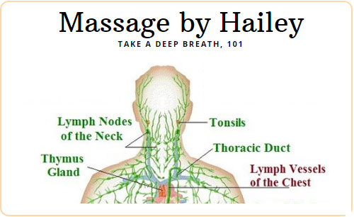 crystal-lake-massage-by-hailey-lymph-system